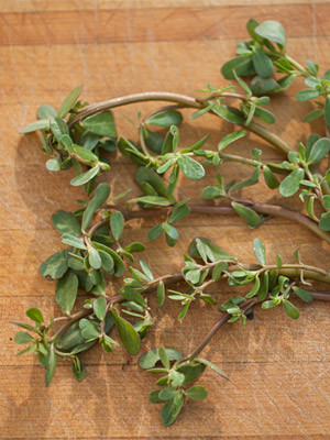 a few sprigs of purslane on a cutting board