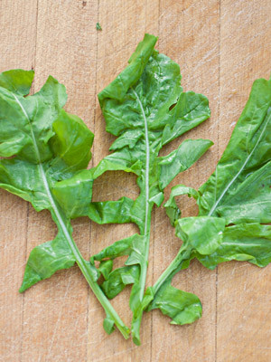 3 Arugula leaves on a cutting board